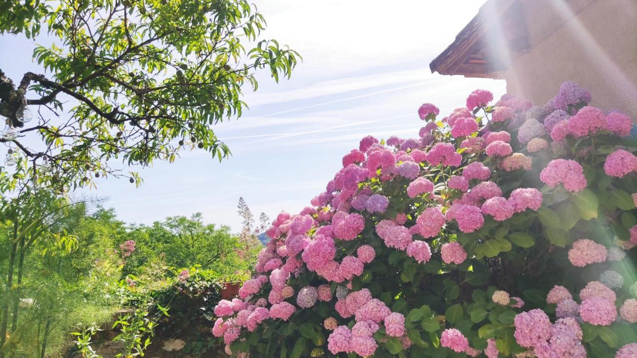 Thiviers La Fontaine Du Mas B&B 외부 사진